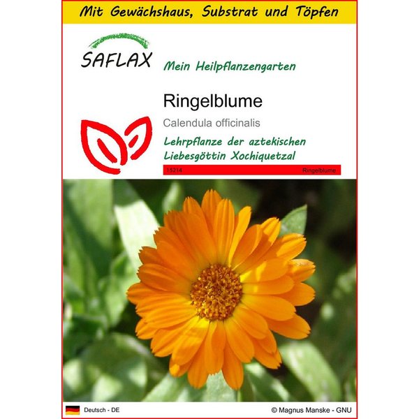 SAFLAX Blumensamen SAFLAX - Anzuchtset - Ringelblume
