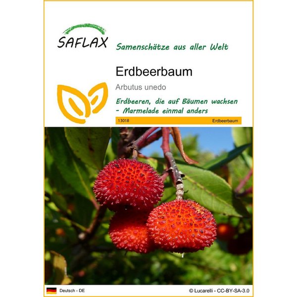 SAFLAX Blumensamen SAFLAX - Samen - Erdbeerbaum