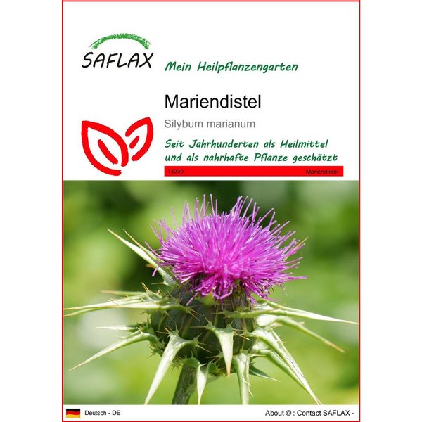 SAFLAX Blumensamen SAFLAX - Samen - Mariendistel
