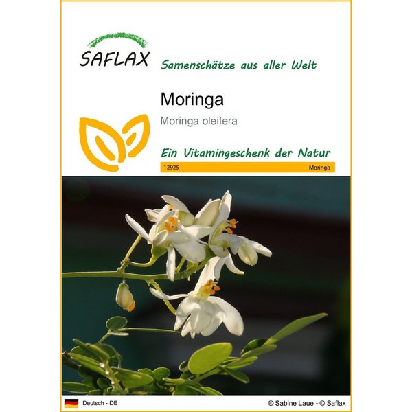 SAFLAX Blumensamen SAFLAX - Samen - Moringa
