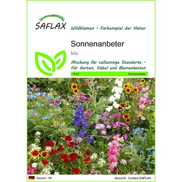 SAFLAX Blumensamen SAFLAX - Samen - Sonnenanbeter