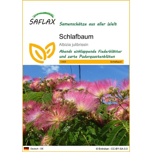 SAFLAX Blumensamen SAFLAX - - Schlafbaum
