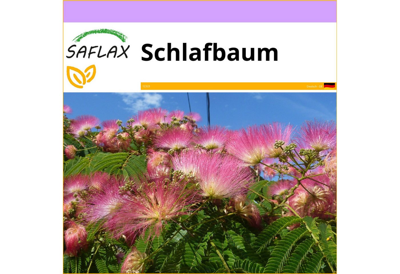 SAFLAX Blumensamen SAFLAX - - Schlafbaum – Bild 5 von 5