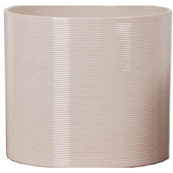 12cm sesame