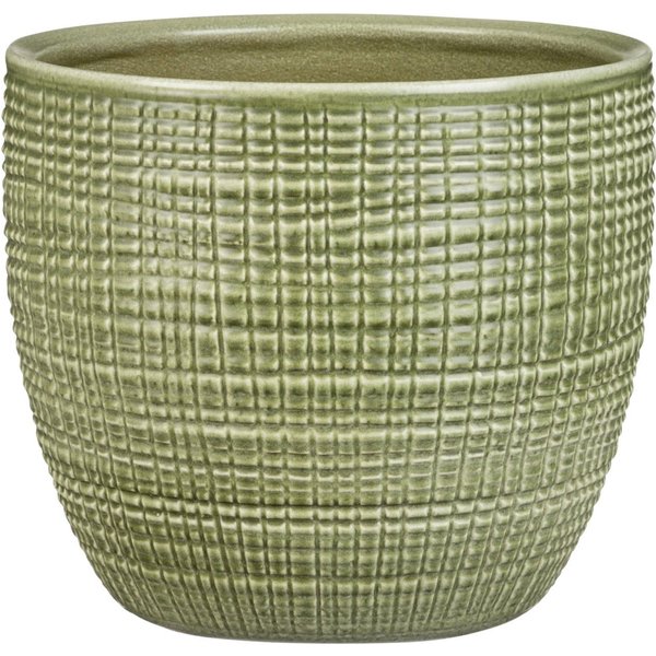 19cm menta