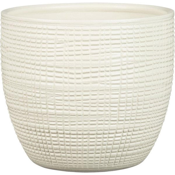 25cm vainilla