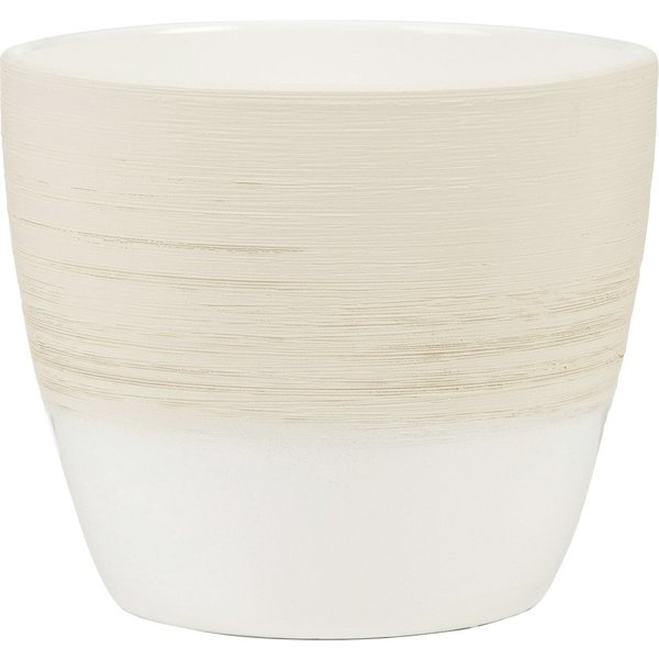 19cm vanilla cream