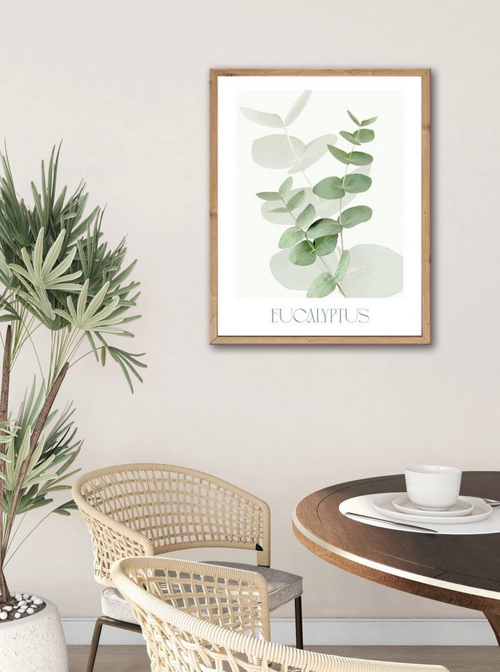 Bönninghoff Bild mit Rahmen Wandbild gerahmt EUCALYPTUS 40x50 cm – Botanik Wanddeko Boho Scandi, Blätter, Eukalyptus, Pflanzen (1 St), mit dekorativem Rahmen – Bild 4 von 5