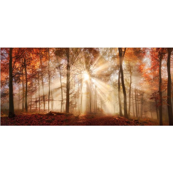 Bönninghoff Bild Wandbild HERBSTWALD XXL 90x200 cm – Leinwandbild Keilrahmen Deko, Sonnenaufgang & -untergang, Wald, Waldbilder, auf Keilrahmen gespannt