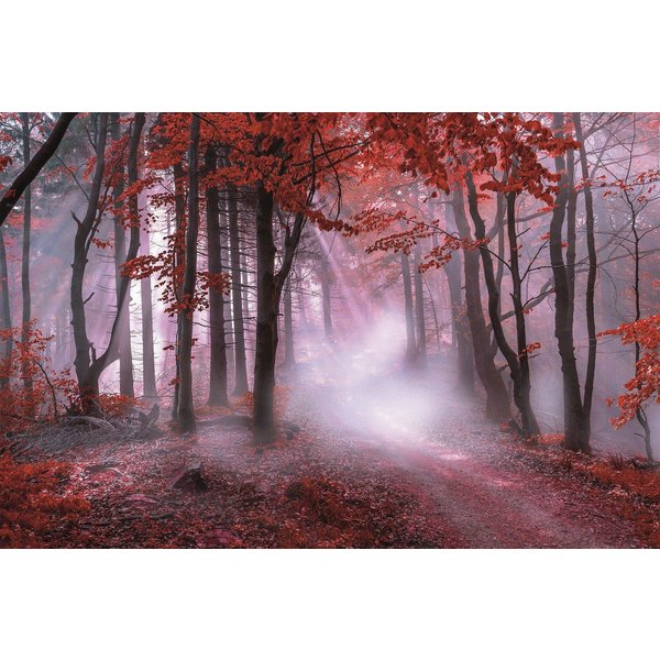 Bönninghoff Leinwandbild Wandbild NEBEL IM ROTEN WALD 78x118 cm – Leinwandbild Keilrahmen Deko, Natur, Wald, mystischer Wald (1 St), auf Keilrahmen gespannt
