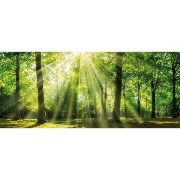 Bönninghoff Leinwandbild Wandbild WALD – Leinwandbild Keilrahmen, Bäume, Natur, Wald (1 St), auf Keilrahmen gespannt