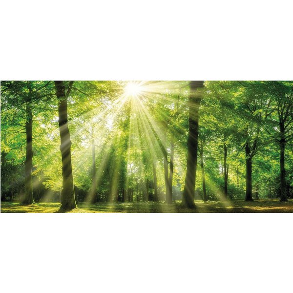 Bönninghoff Leinwandbild Wandbild WALD – Leinwandbild Keilrahmen, Bäume, Natur, Wald (1 St), auf Keilrahmen gespannt