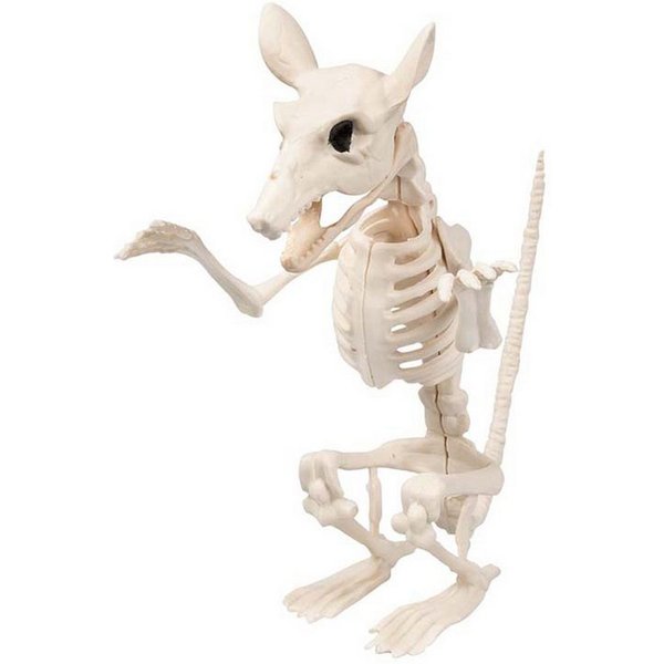 Boland Dekoobjekt Skelett Tier Ratte 'Cheddar' 18 x 15 cm, Beige