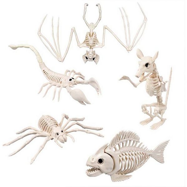 Boland Dekoobjekt Skelett Tiere 5-fach sortiert, Beige - Halloween