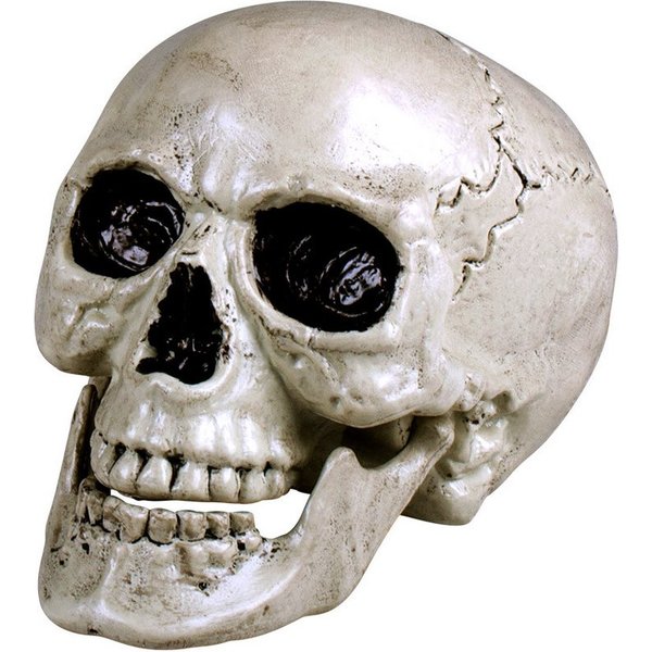 Boland Dekoobjekt Totenkopf Schädel 'Maxilla' beweglich - 17 x 17 x
