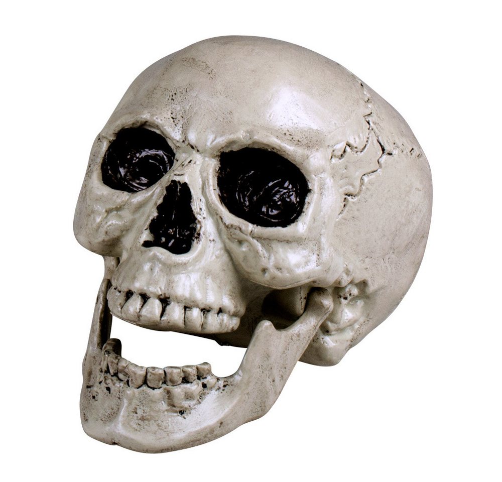 Boland Dekoobjekt Totenkopf Schädel 'Maxilla' beweglich - 17 x 17 x – Bild 2 von 5