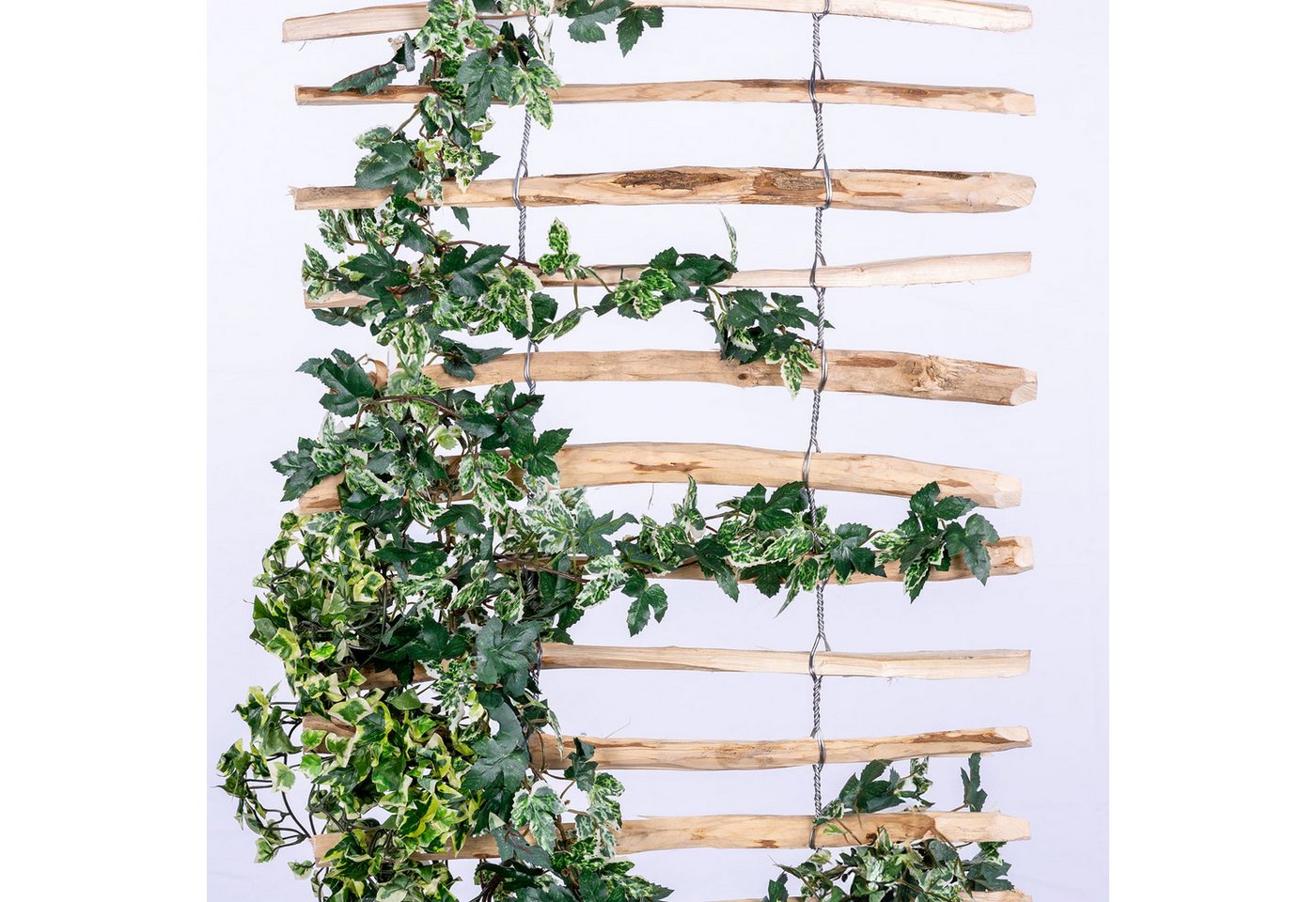 BooGardi Rankhilfe Leiter Holz, 1 St., 50 x 200cm 3-5cm, Kletterhilfe Wandspalier Efeu Rankgitter Pflanzhilfe Balkon Garten – Bild 5 von 5