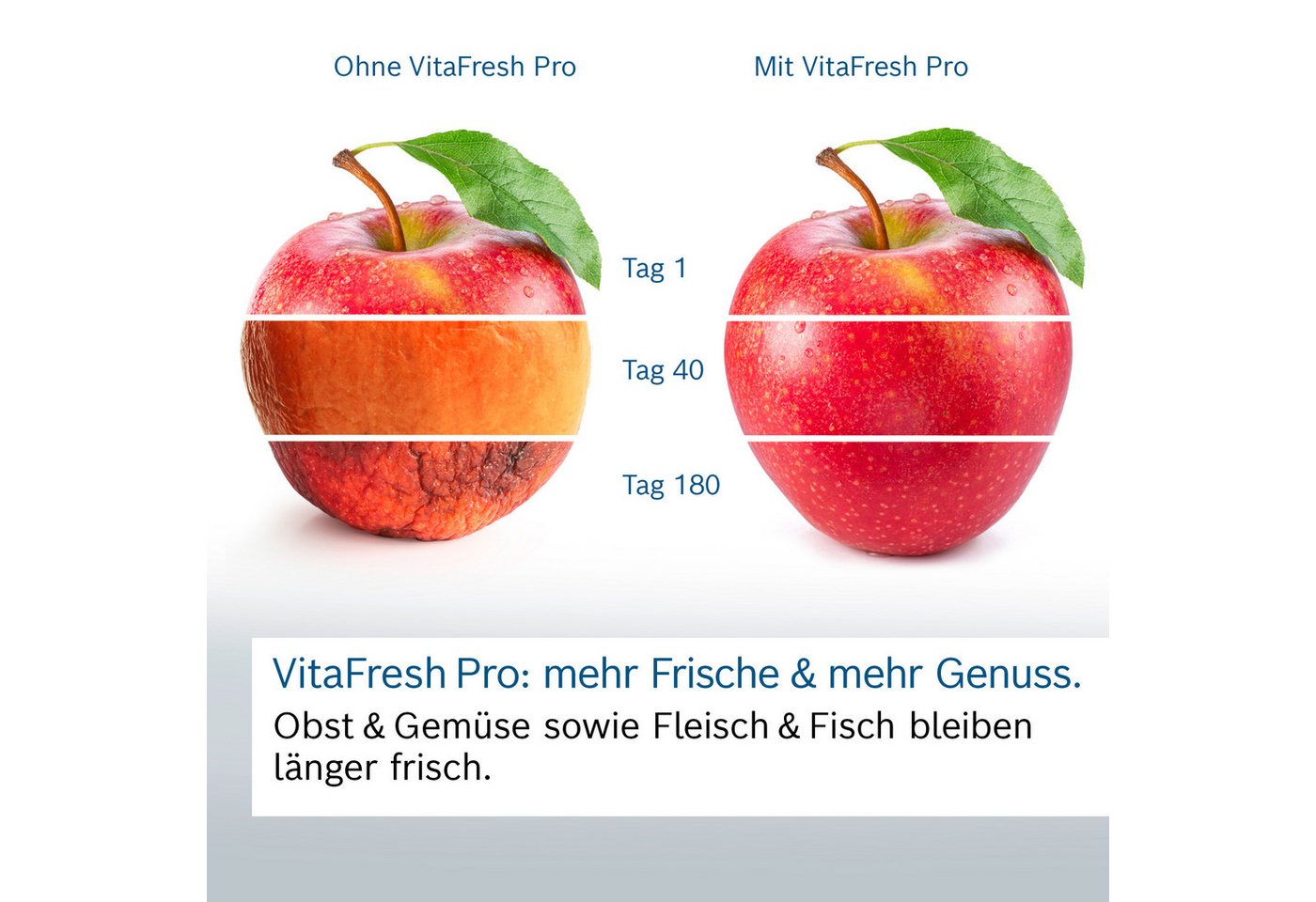 BOSCH Einbaukühlgefrierkombination 8 KIF86PFE0, 177,2 cm hoch, 55,8 cm breit, Lebensmittel bleiben länger frisch dank VitaFresh pro – Bild 2 von 5