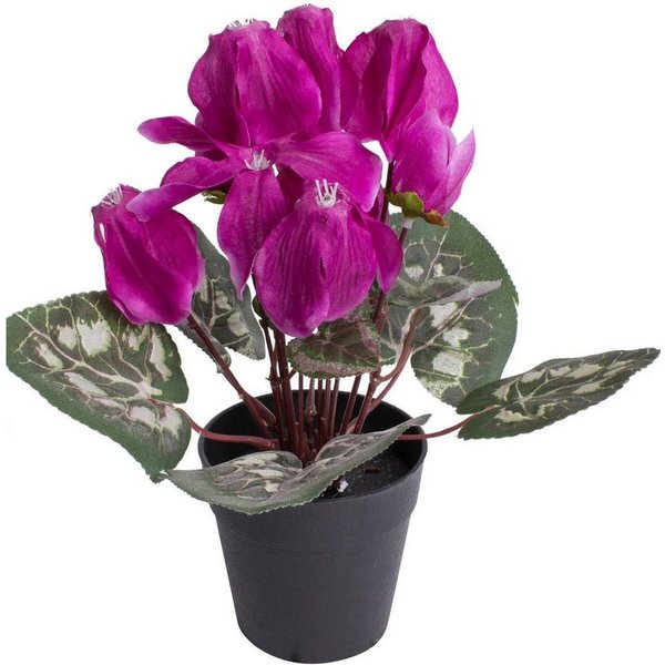 Kunstblume Alpenveilchen, Botanic-Haus, Höhe 24 cm