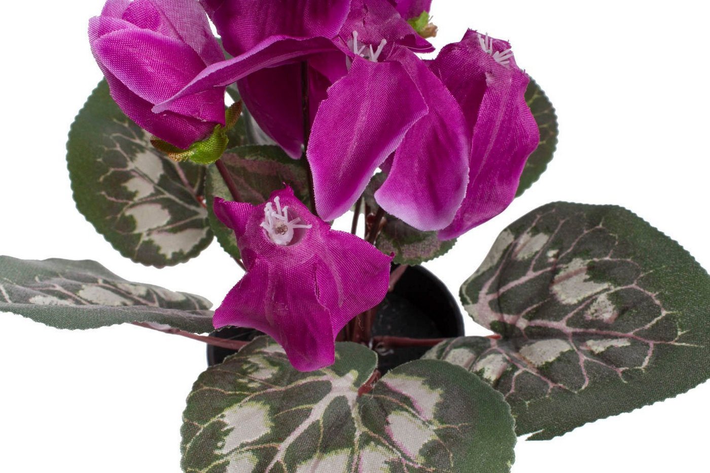 Kunstblume Alpenveilchen, Botanic-Haus, Höhe 24 cm – Bild 2 von 3