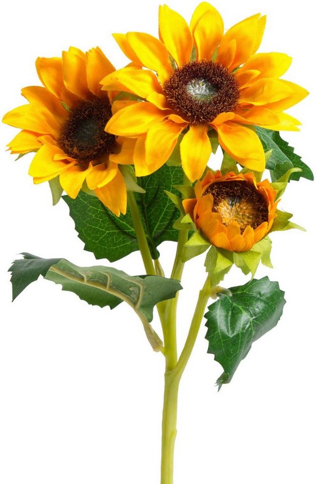Kunstblume Sonnenblume Sonnenblume, Botanic-Haus, Höhe 38 cm – Bild 3 von 4