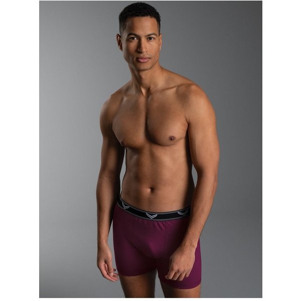 Trigema Boxer TRIGEMA Bequeme Pants mit Webgummibund (1-St)