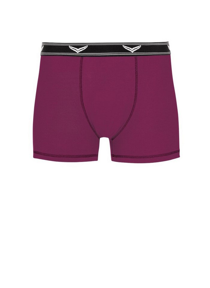 Trigema Boxer TRIGEMA Bequeme Pants mit Webgummibund (1-St) – Bild 2 von 5