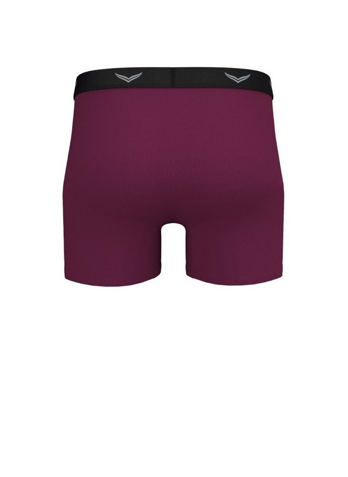Trigema Boxer TRIGEMA Bequeme Pants mit Webgummibund (1-St) – Bild 4 von 5