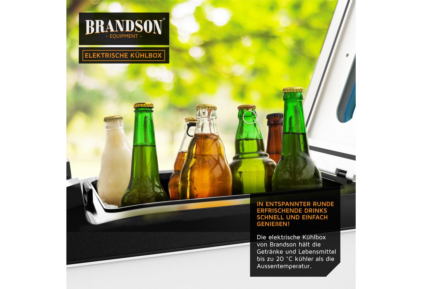 Brandson Elektrische Kühlbox 10 L, Sichtfensterdeckel, Kühlt & hält Warm, von bis zu -10 bis +65°C, 10 l, 230 V Netzspannung &12 V KFZ Auto Bordspannung, Kühlbo – Bild 5 von 5