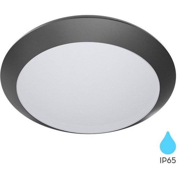 Braytron LED Deckenleuchte Deckenleuchte Deckenlampe Deckenlicht E27 Grau Eingang Flur A, ohne Leuchtmittel, IP65 wasserdicht