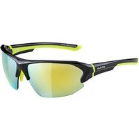 ALPINA Brille ALPINA LYRON, Größe ONE SIZE in Grau