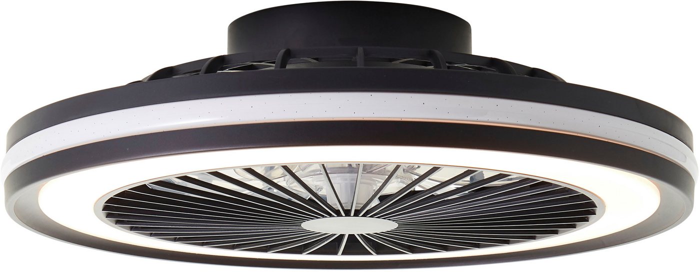 Brilliant LED Deckenleuchte Palmero, CCT - über Fernbedienung, Dimmfunktion, Nachtlichtfunktion, RGB, Timerfunktion, Ventilatorfunktion, LED fest integriert, wa – Bild 3 von 5
