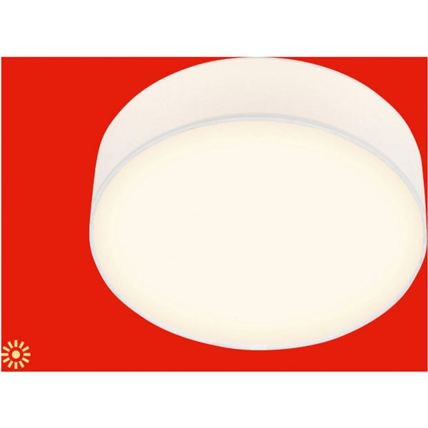 Briloner Leuchten LED Deckenleuchte DUCK, LED fest integriert, 30x10,5 cm, Wohnzimmer, Schlafzimmer, Flur, Küche