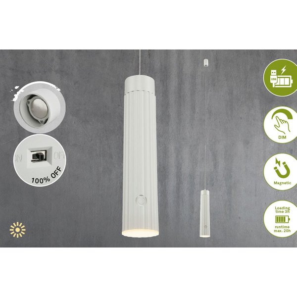 Briloner Leuchten LED Pendelleuchte HANG, LED fest integriert, 4,5x20,5 cm, Esszimmer, Wohnzimmer, Schlafzimmer