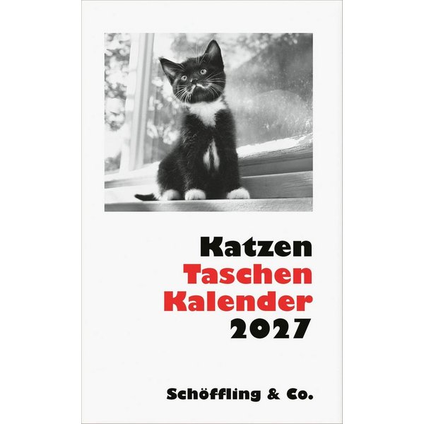 Buchkalender Katzen Taschenkalender 2027