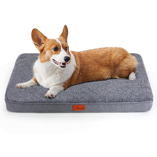 CALIYO Tierbett Orthopädisches Hundebett Grosse Hunde - Hundekissen flauschig, Cozy Flannel Fleece Fabric/ Washable Inner Film/ Egg Crate orthopedic Foam/ Non-s