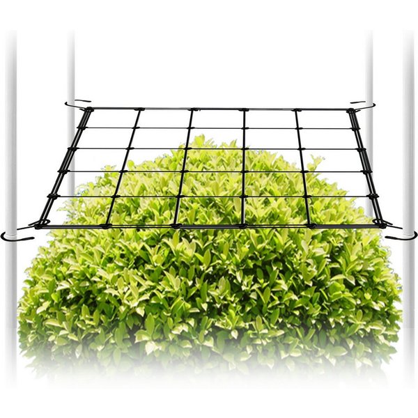 CannoBox Spalier Wachszelt Netz Rankhilfe Elastisches Pflanzenzeltnetz für Growbox, 4 Haken, 10x10 cm Maschen, Elastische 3 mm Fäden