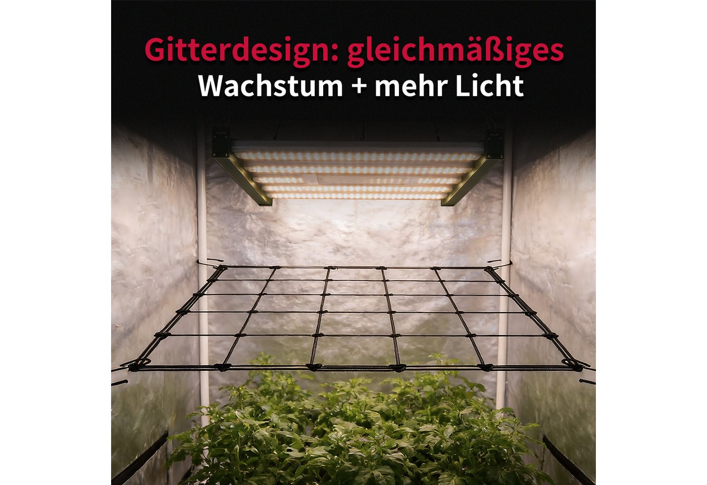 CannoBox Spalier Wachszelt Netz Rankhilfe Elastisches Pflanzenzeltnetz für Growbox, 4 Haken, 10x10 cm Maschen, Elastische 3 mm Fäden – Bild 2 von 5