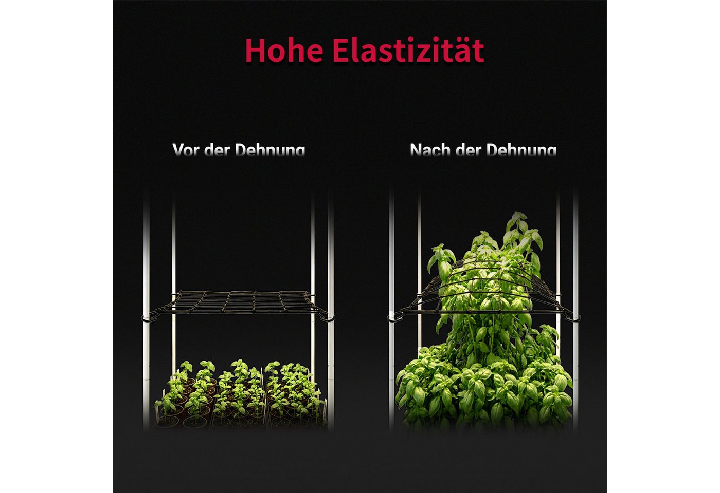 CannoBox Spalier Wachszelt Netz Rankhilfe Elastisches Pflanzenzeltnetz für Growbox, 4 Haken, 10x10 cm Maschen, Elastische 3 mm Fäden – Bild 3 von 5