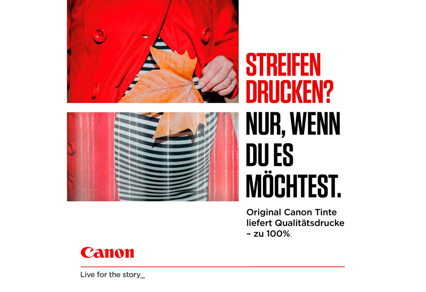 Canon PG-585 XL Tintenpatrone – Bild 5 von 5
