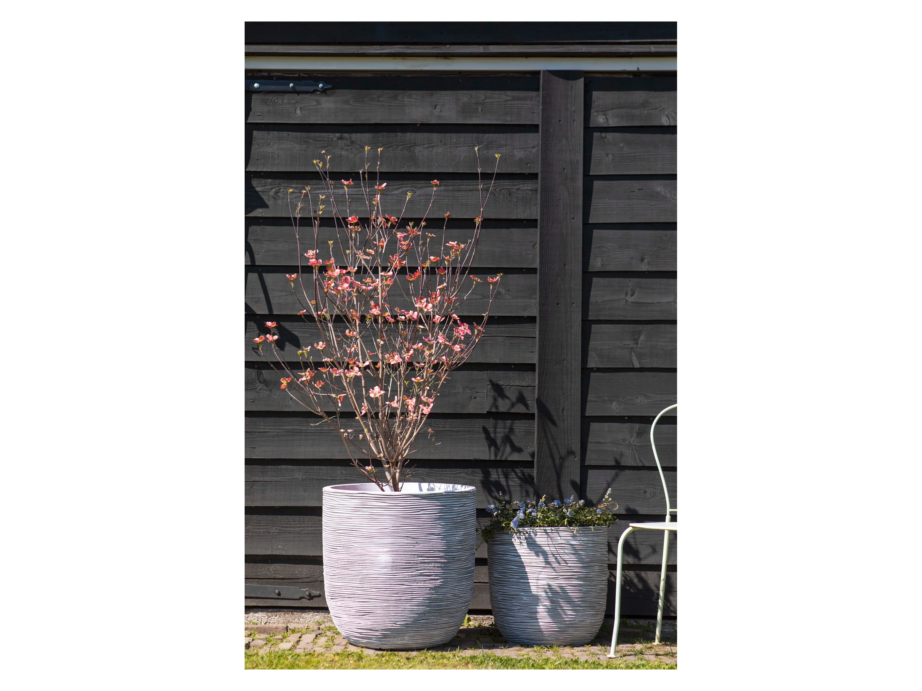 CAPI EUROPE Blumentopf, kugelförmig (43 x 41 cm, Elfenbein) – Bild 2 von 2