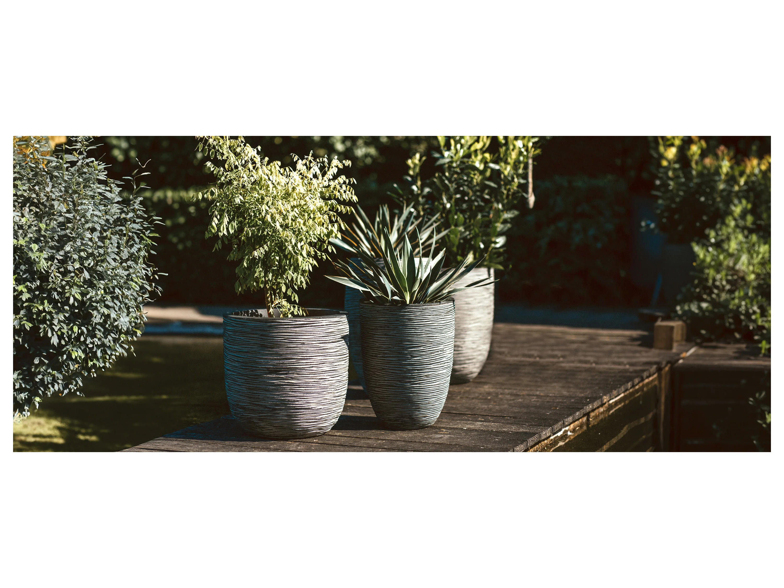CAPI EUROPE Blumentopf, kugelförmig (35 x 34 cm, Anthrazit) – Bild 2 von 2