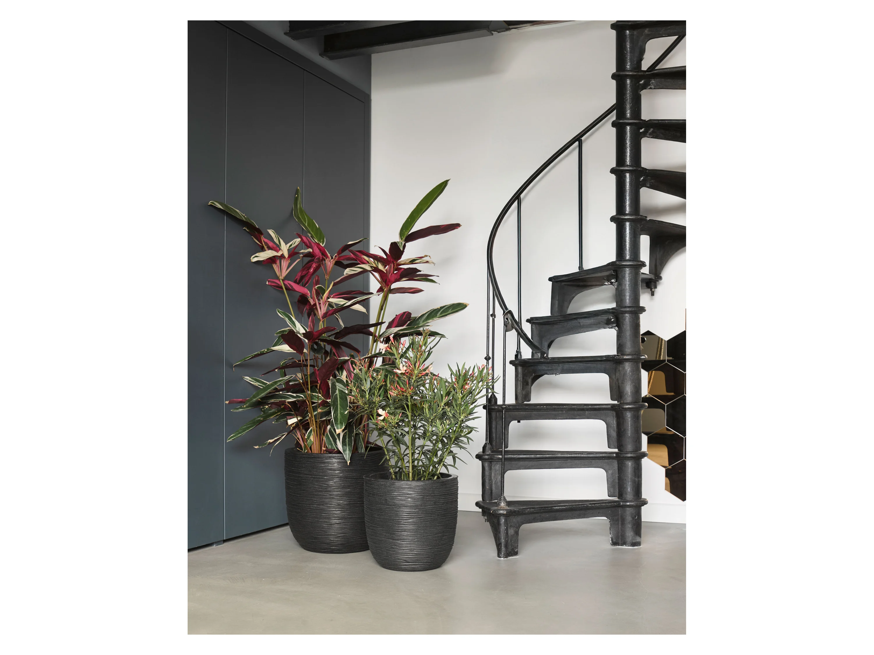 CAPI EUROPE Blumentopf, kugelförmig (35 x 34 cm, Schwarz) – Bild 3 von 3