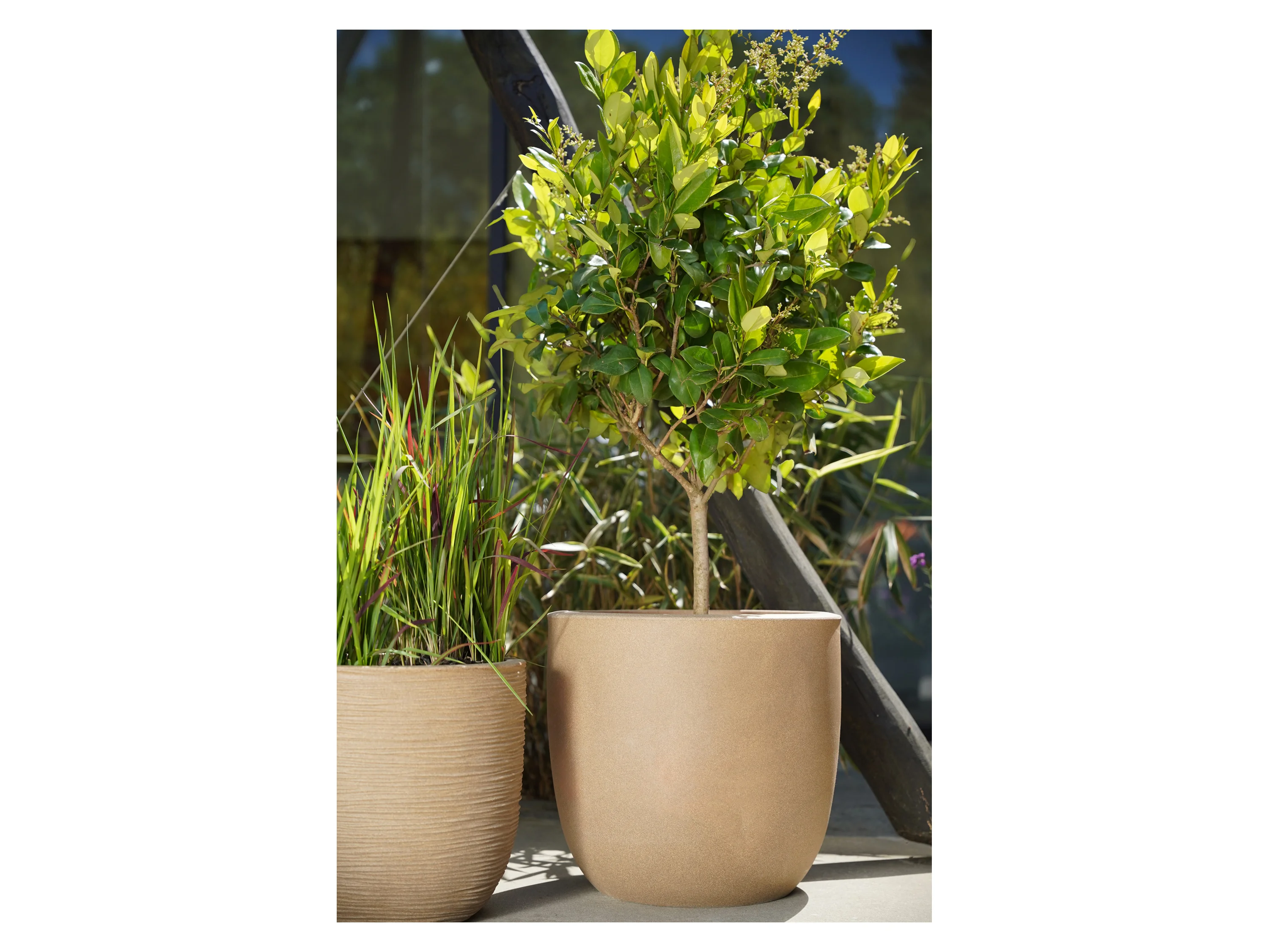 CAPI EUROPE Blumentopf, kugelförmig (43 x 41 cm, Beige) – Bild 2 von 2