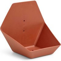 CAPI EUROPE Wasserschale »Hive« (Braun)