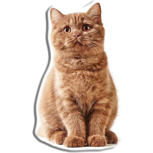 Carbotex Dekokissen Katze Dekokissen 45 cm