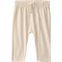 Carter's 3-tlg. Set Body kurzarm, Jacke und Jogginghose Bären