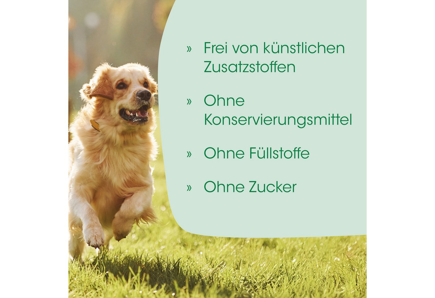 cdVet Milbenspray Kieselgur, 50 g, Kieselgur kann nicht überdosiert werden. – Bild 5 von 5