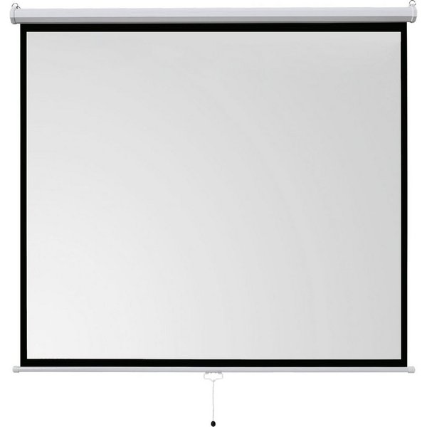 Celexon basic line Rolloleinwand (schwarze Rückseite)