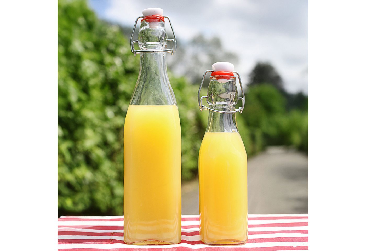 CEPEWA Isolierflasche Bügelflasche 6er Set eckig 6,5x20cm 250ml Glas Metall Dichtung – Bild 3 von 5